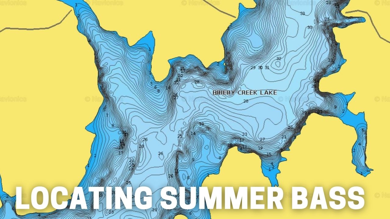 Locating Summer Bass